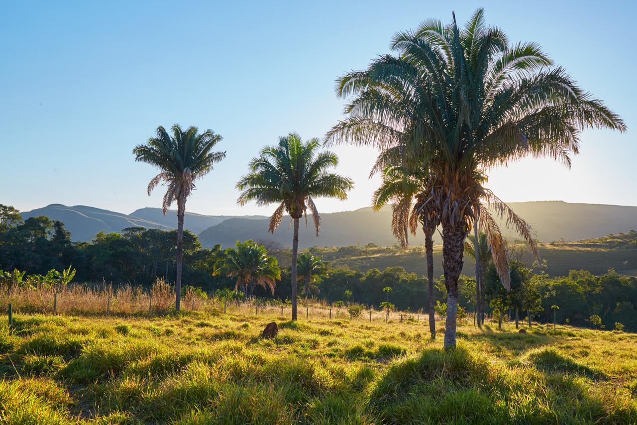 הוילה Alto Paraíso de Goiás Eit Eco Inteligente מראה חיצוני תמונה